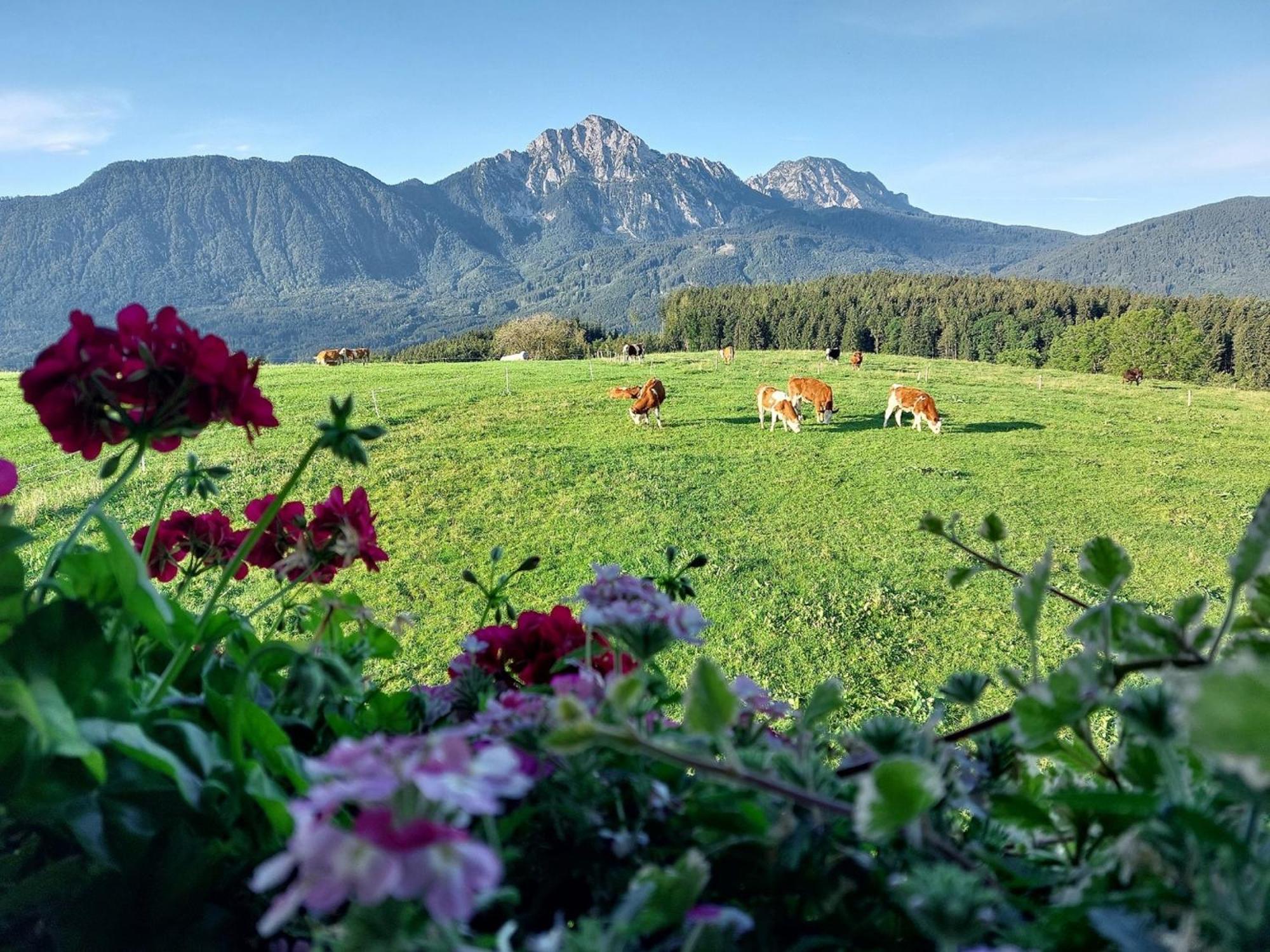 Fuchsbauernhof Vila Piding Exterior foto