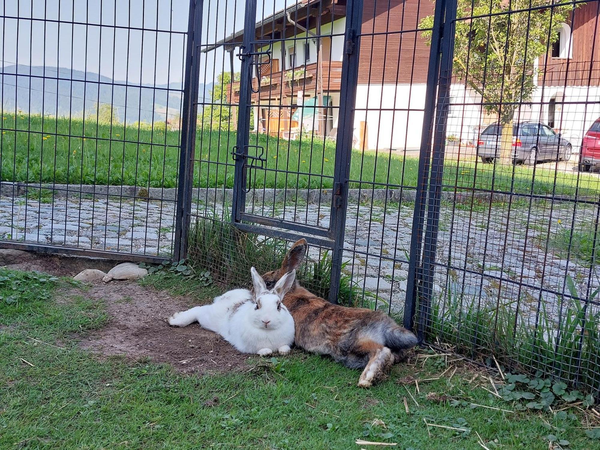 Fuchsbauernhof Vila Piding Exterior foto